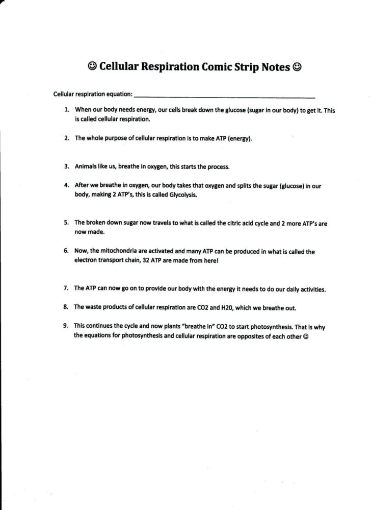 Bill Nye Plants Worksheet Answers