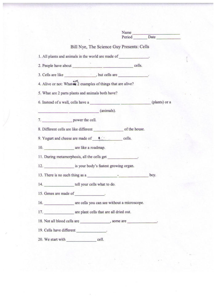 Bill Nye Magnetism Worksheet Answers