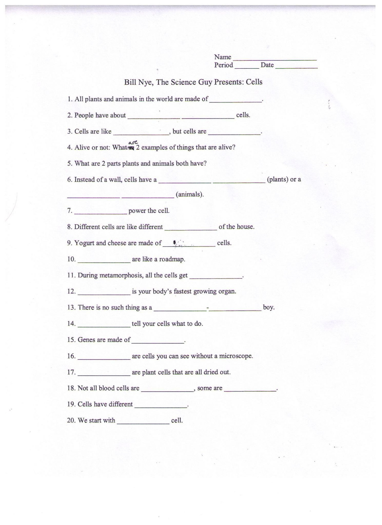 Bill Nye Energy Video Worksheet Answer Key Inspireium