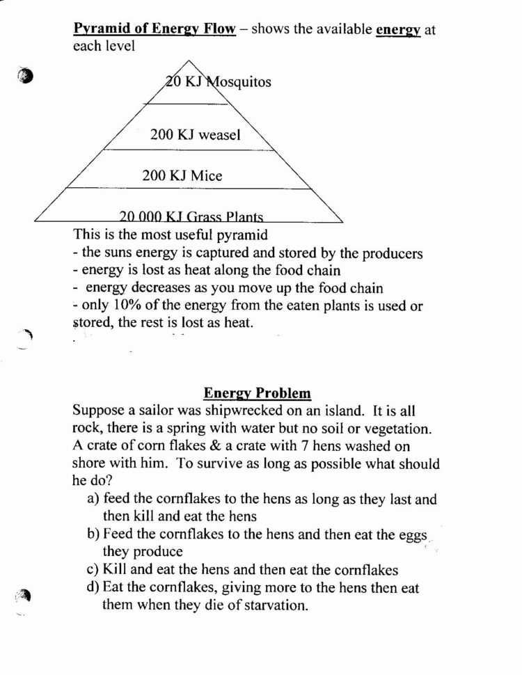 Bill Nye Plants Worksheet Answer Key
