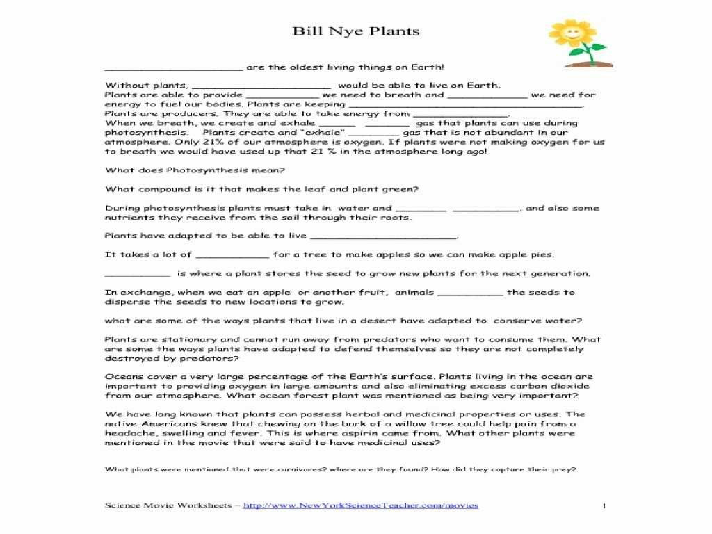 Bill Nye Plants Worksheet Answers