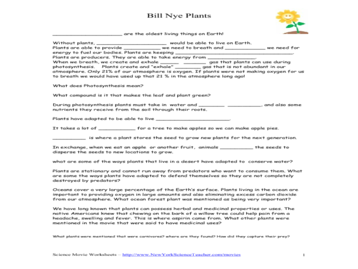 Image 1 for Bill Nye Plants Worksheet