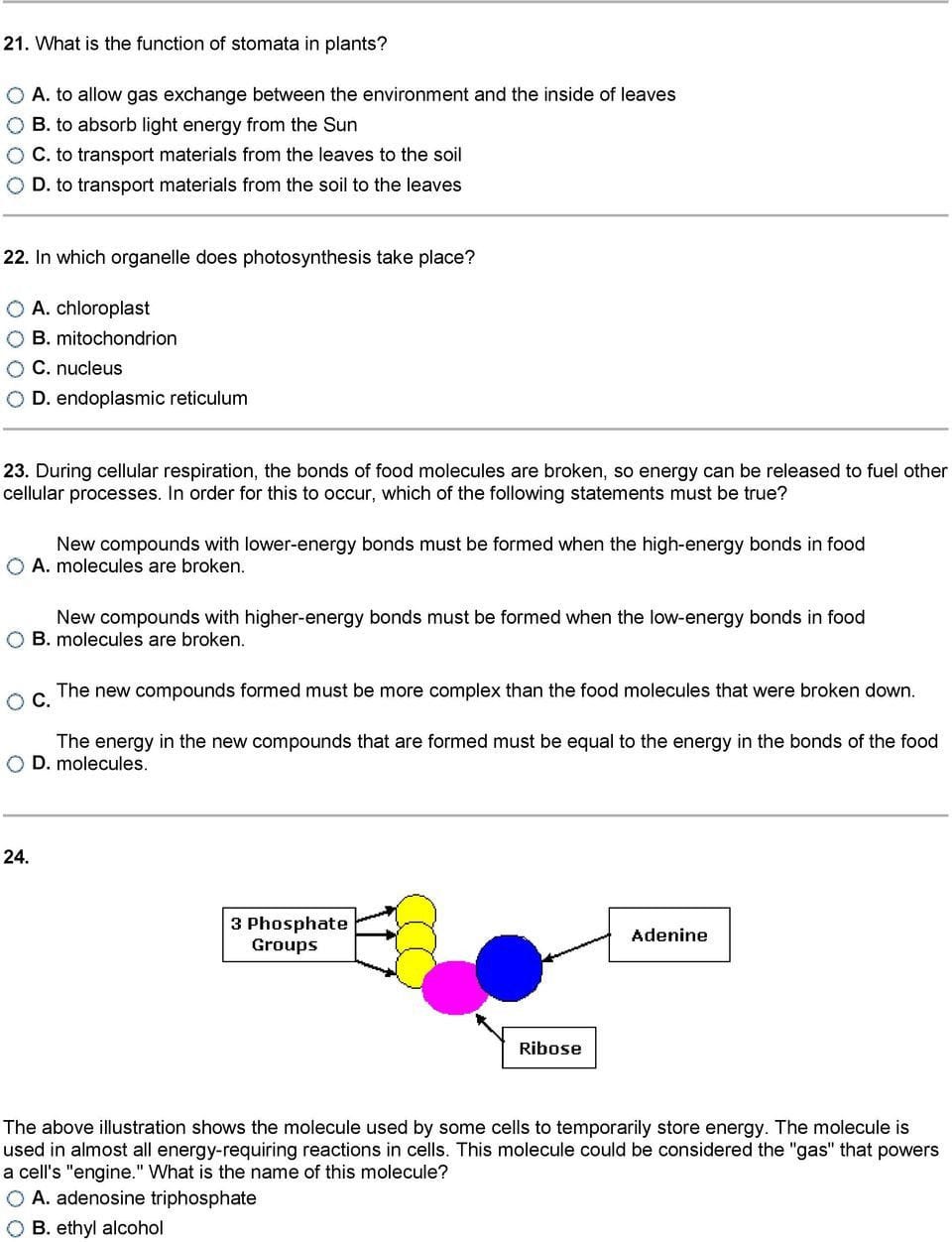 Bill Nye Pollution Solutions Worksheet Answers db excel com