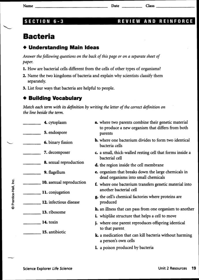 Bill Nye Scientific Method Worksheet