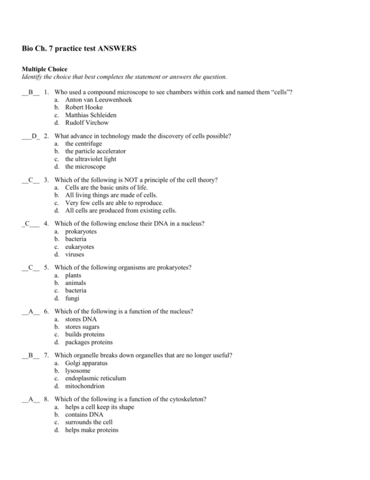 Bio Ch 7 Practice Test Answers