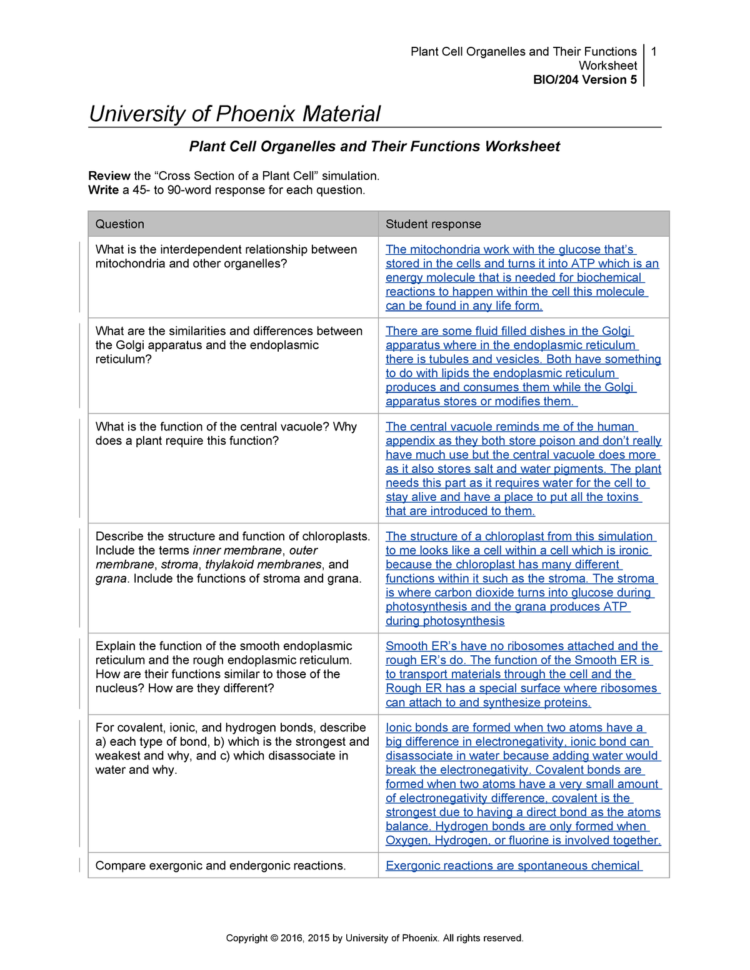 Bio204R5 Plant Cell Organelles And Their Functions Worksheet