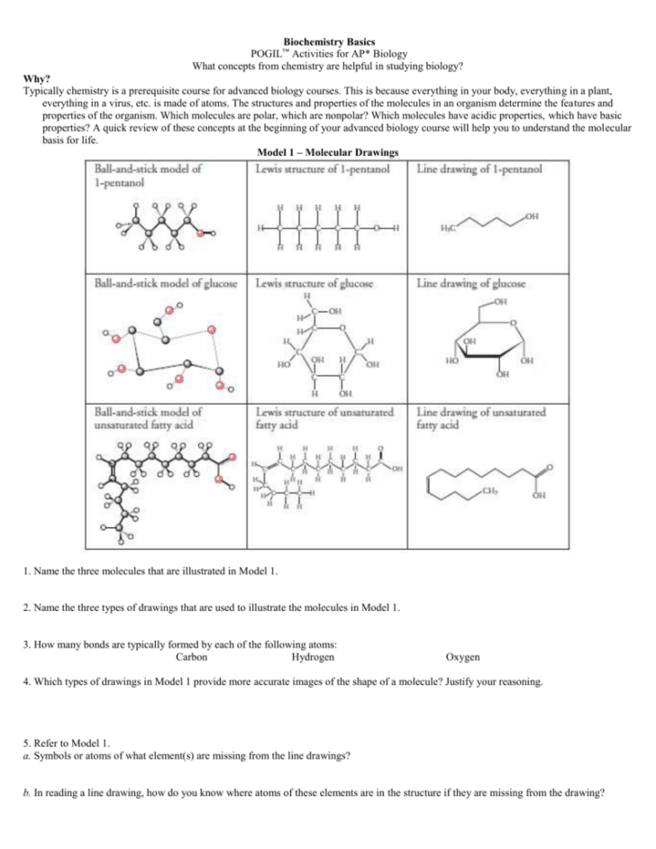 Biochemistry Basics Worksheet Answers | db-excel.com