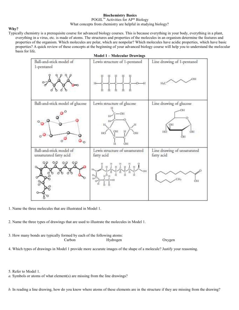 Biochemistry Basics Pogil™ Activities For Ap Biology What