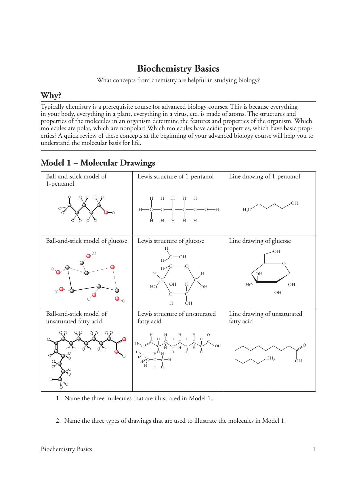  Biochemistry Basics Worksheet Answers Db excel