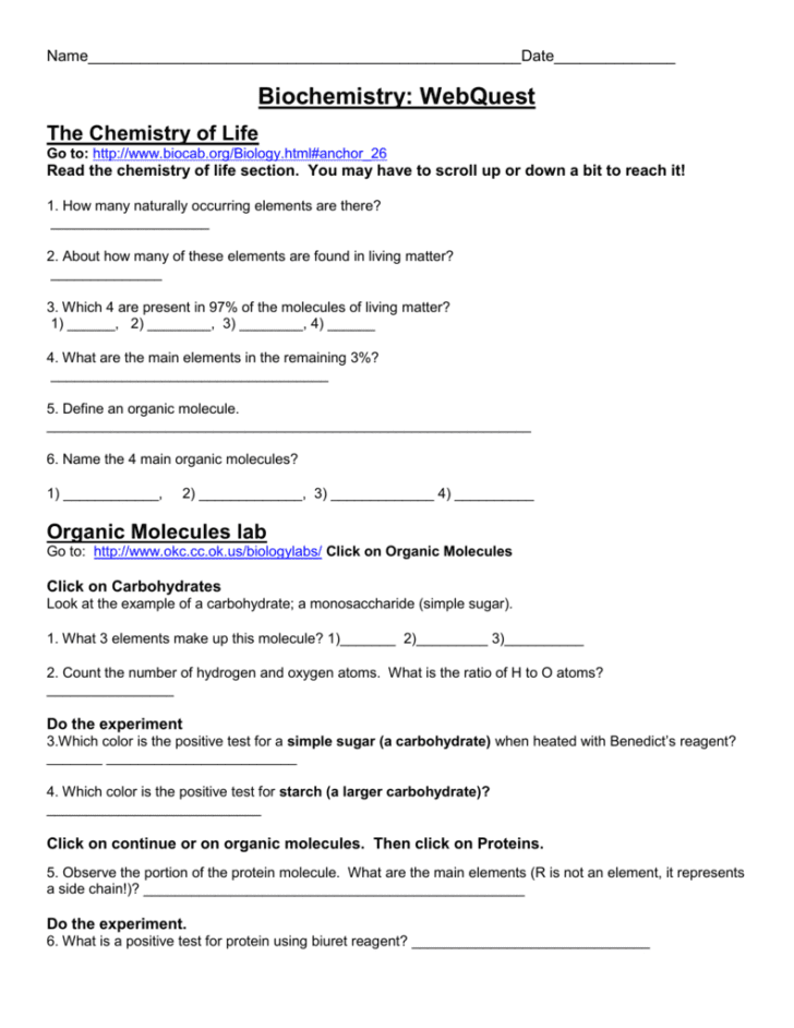 Biochemistry Basics Worksheet Answers