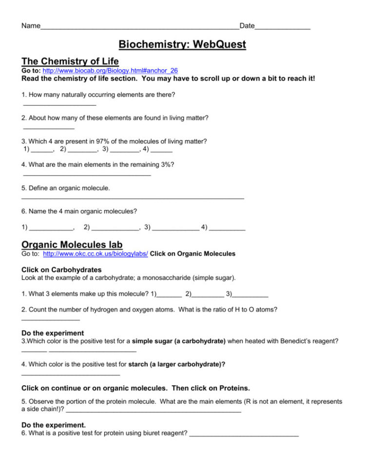 Biochemistry Webquest Chemical Reactions Middle School Use