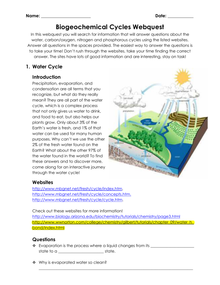Biogeochemical Cycles Webquest