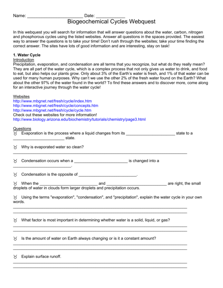 Biogeochemical Cycles Webquest  Fbm