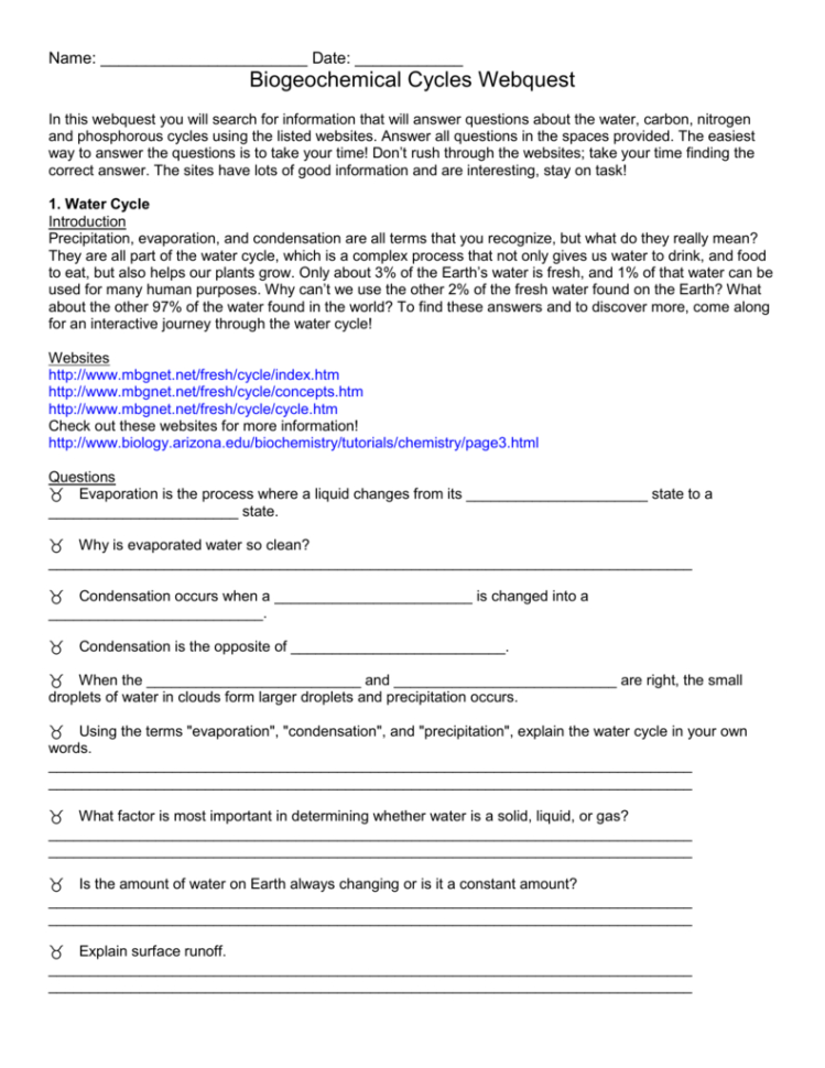 Biogeochemical Cycles Worksheet Answer Key — Db-excel.com