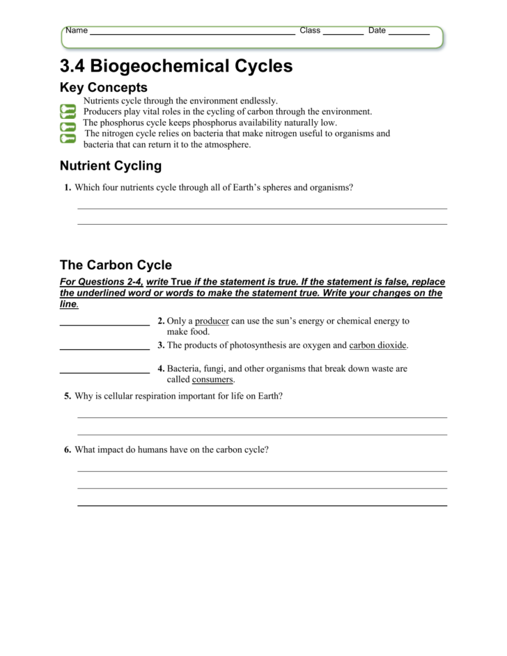 Biogeochemical Cycles Worksheet Answer Key — Db-excel.com