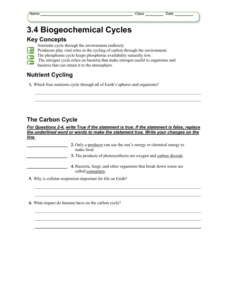 Biogeochemical Cycles Worksheet