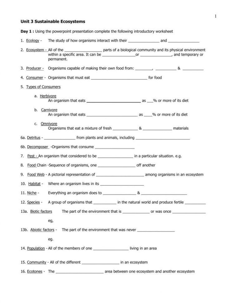 Biogeochemical Cycles Worksheet Answers