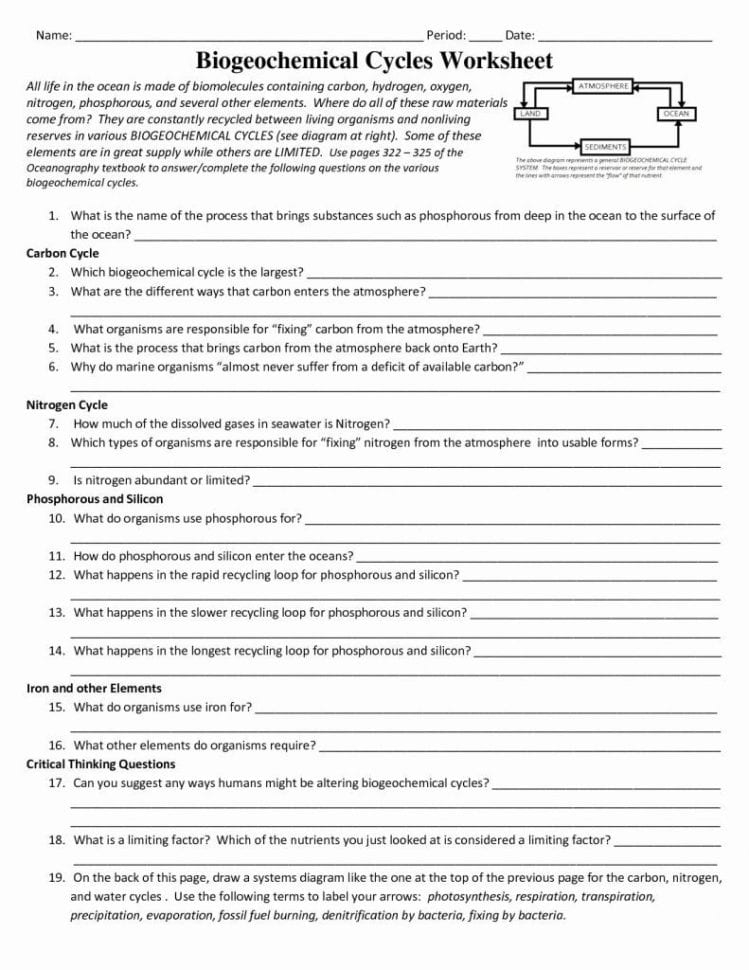 Biogeochemical Cycles Worksheet Answers