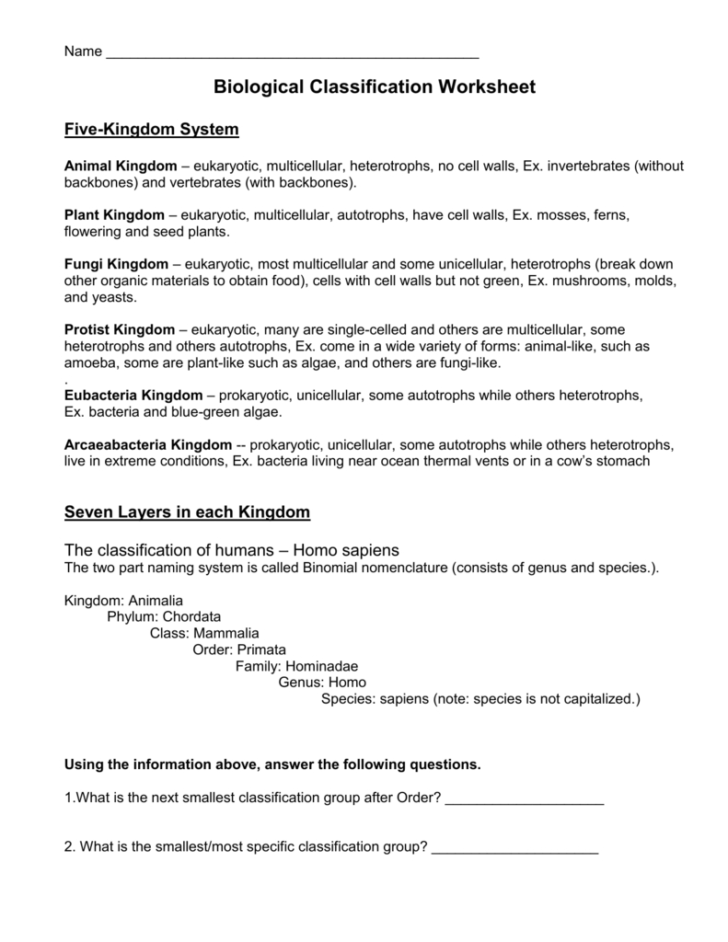 Animal Classification Worksheet
