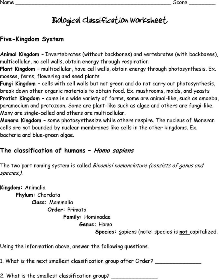 Biological Classification Worksheet  Pdf