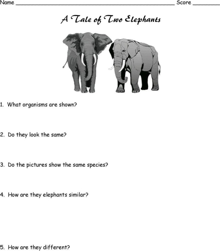 a-tale-of-two-elephants-worksheet-db-excel