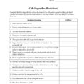 Biological Classification Worksheet  Worksheet Idea