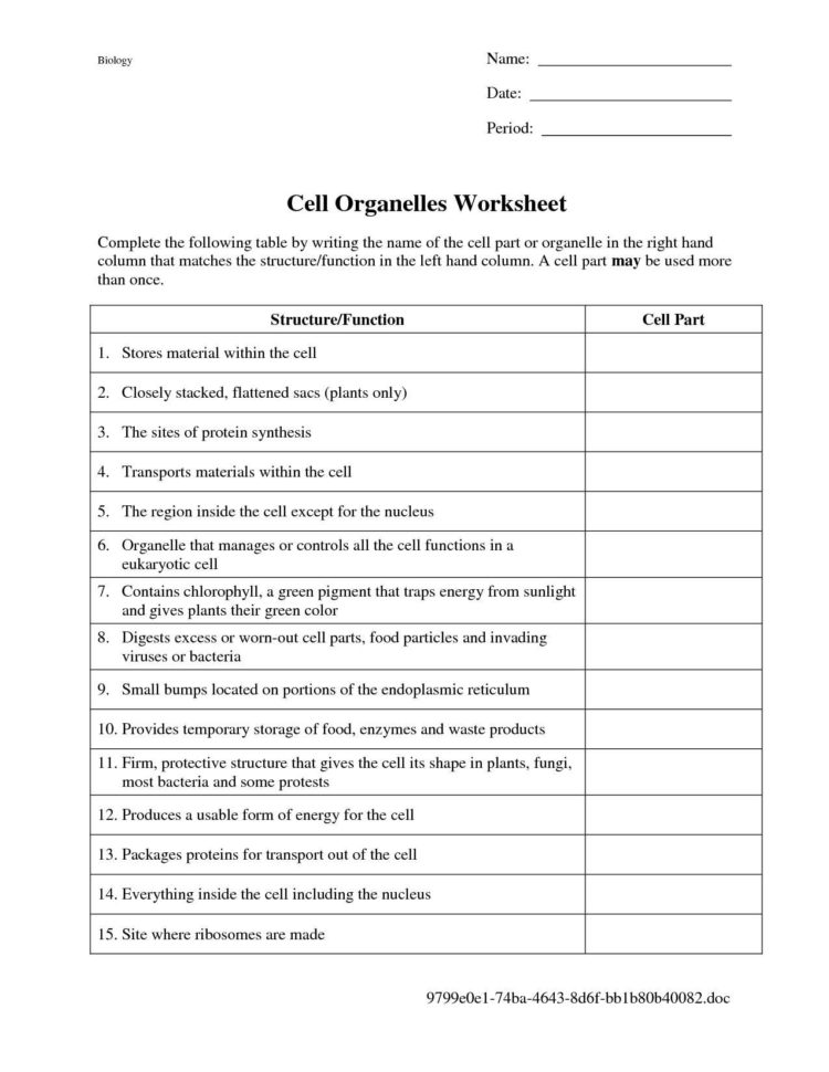 Biological Classification Worksheet  Worksheet Idea