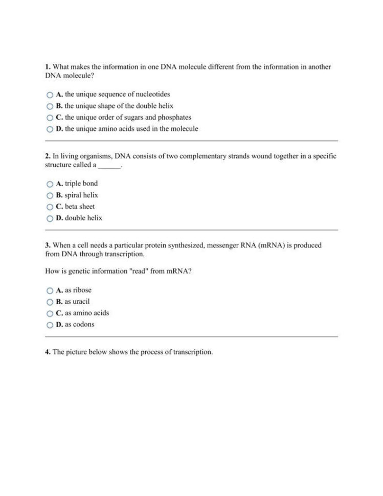 Biological Molecules Worksheet Answers