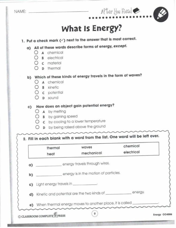 Biological Molecules Worksheet Answers