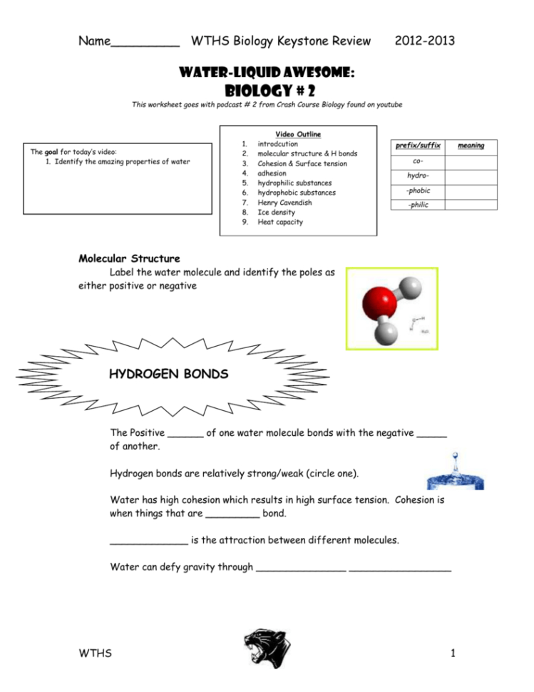 Biological Molecules You Are What You Eat