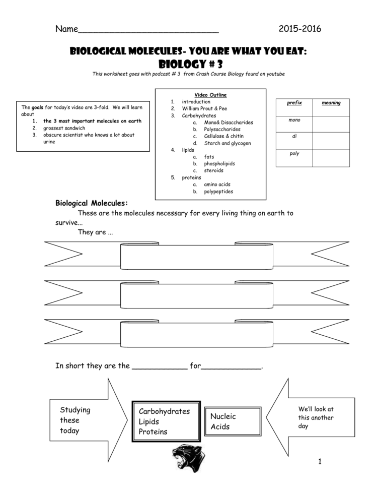 Biological Molecules Worksheet Answers — db-excel.com