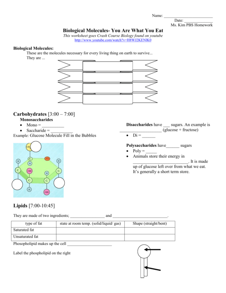 biomolecules-worksheet-answer-key-db-excel