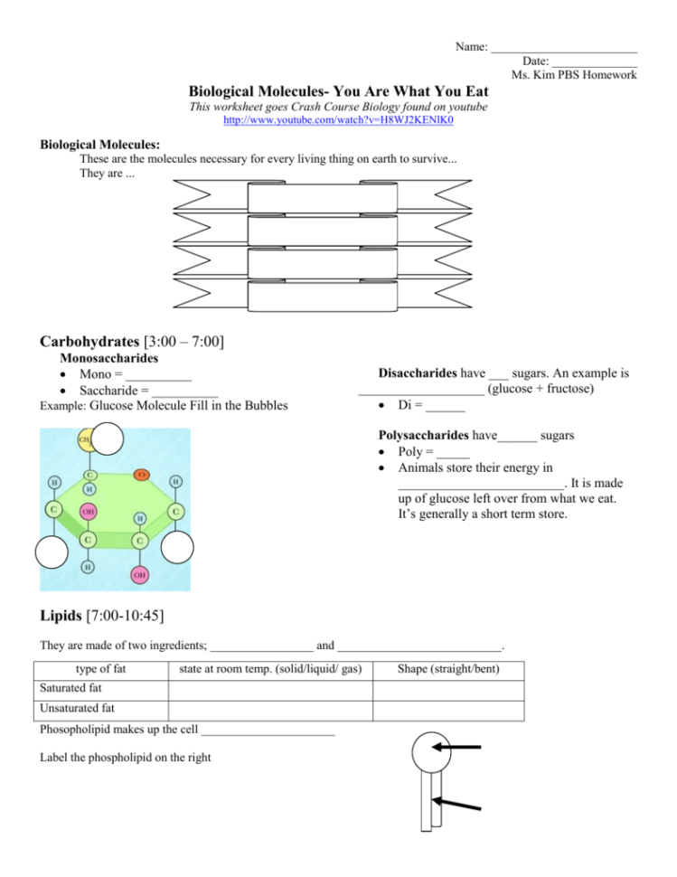 Biological Molecules You Are What You Eat Homework Assignment