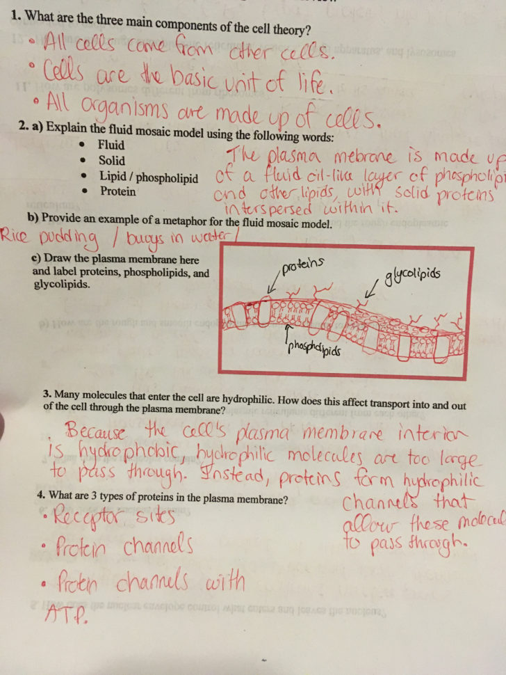 Biology 12 Block 7 – Mrldensclassroom