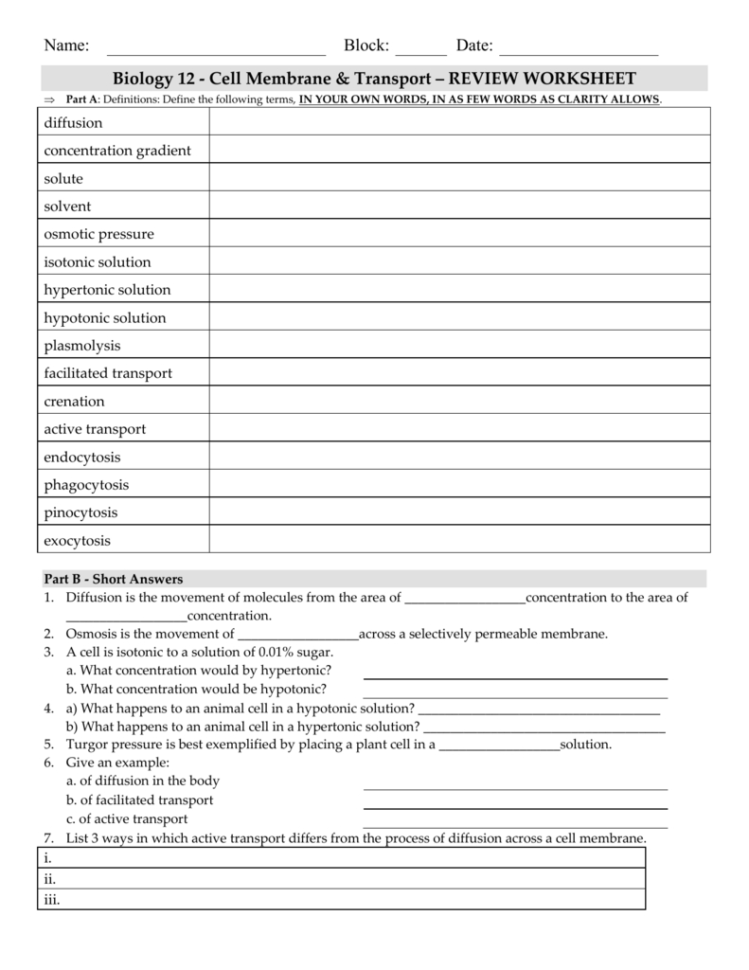 Biology 12  Cell Membrane  Transport  Review Worksheet