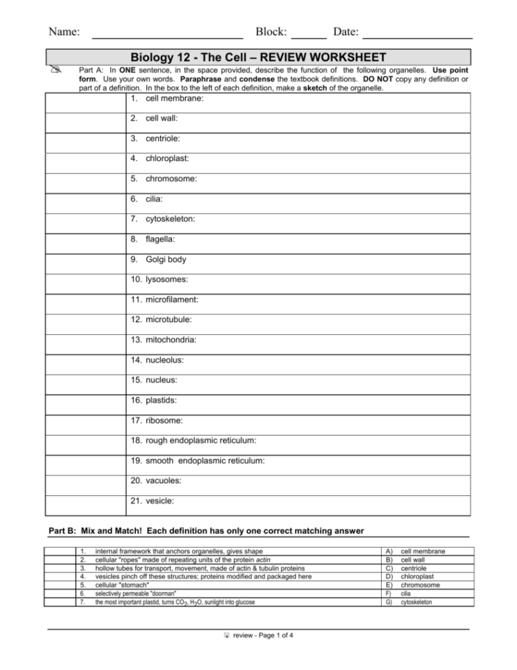 Biology 12  The Cell – Review Worksheet
