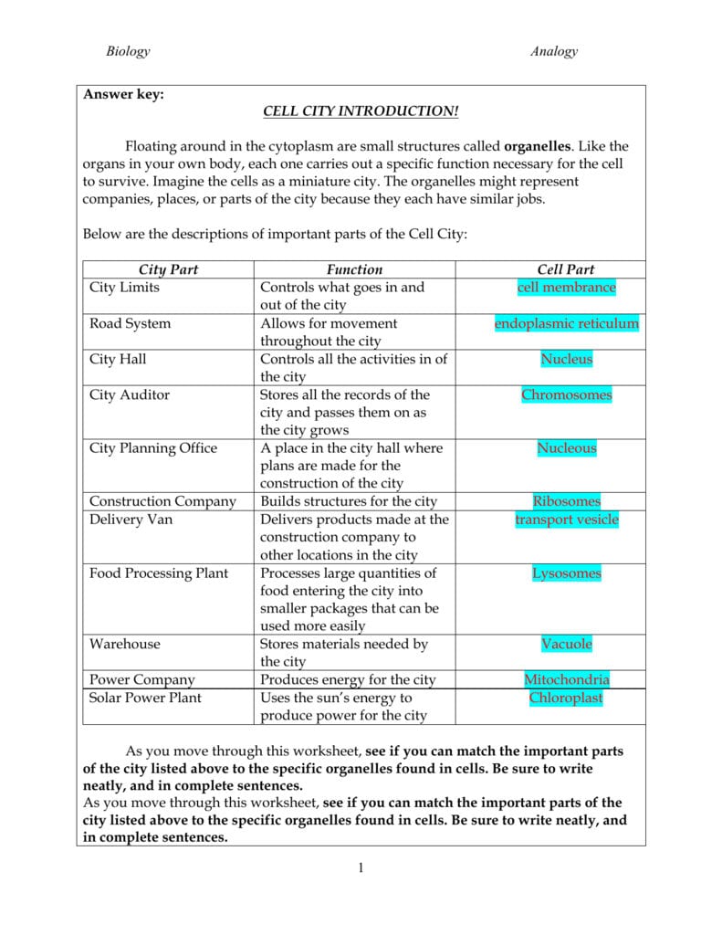 Biology Analogy 1 Answer Key Cell City Introduction Db excel