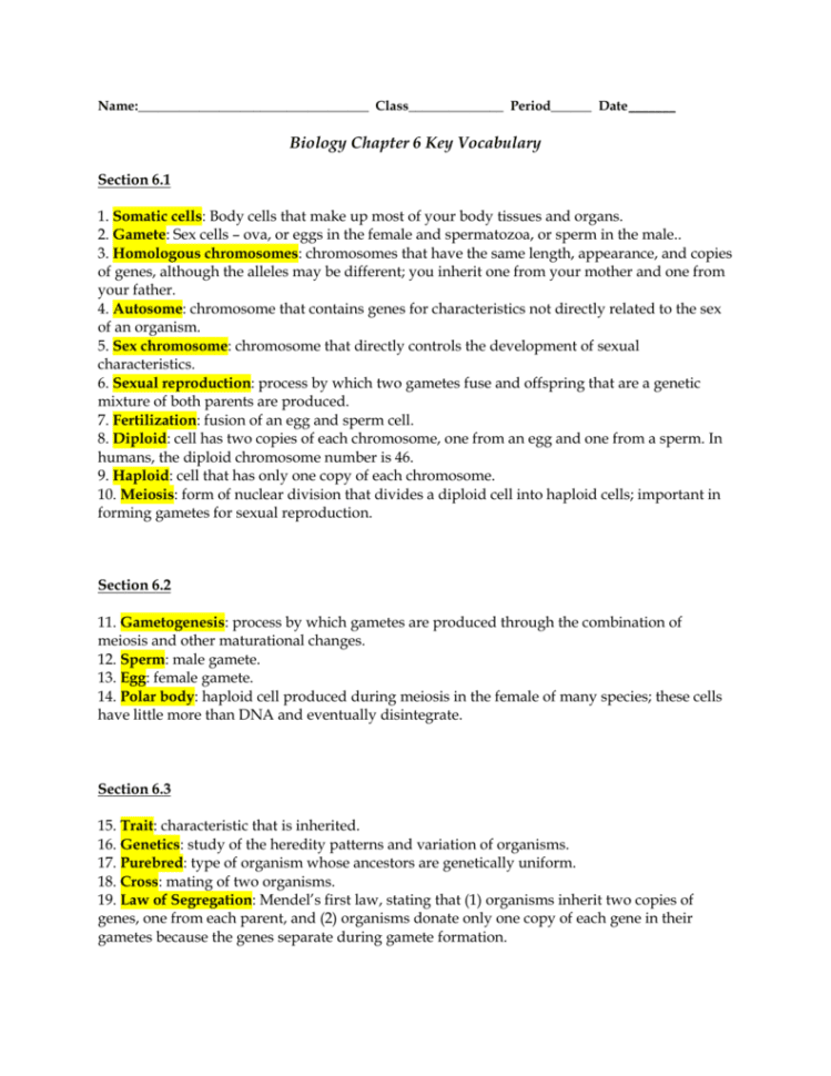 Biology Chapter 6 Key Vocabulary