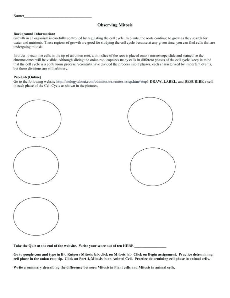 Biology Coloring Sheet – Tulippaperco