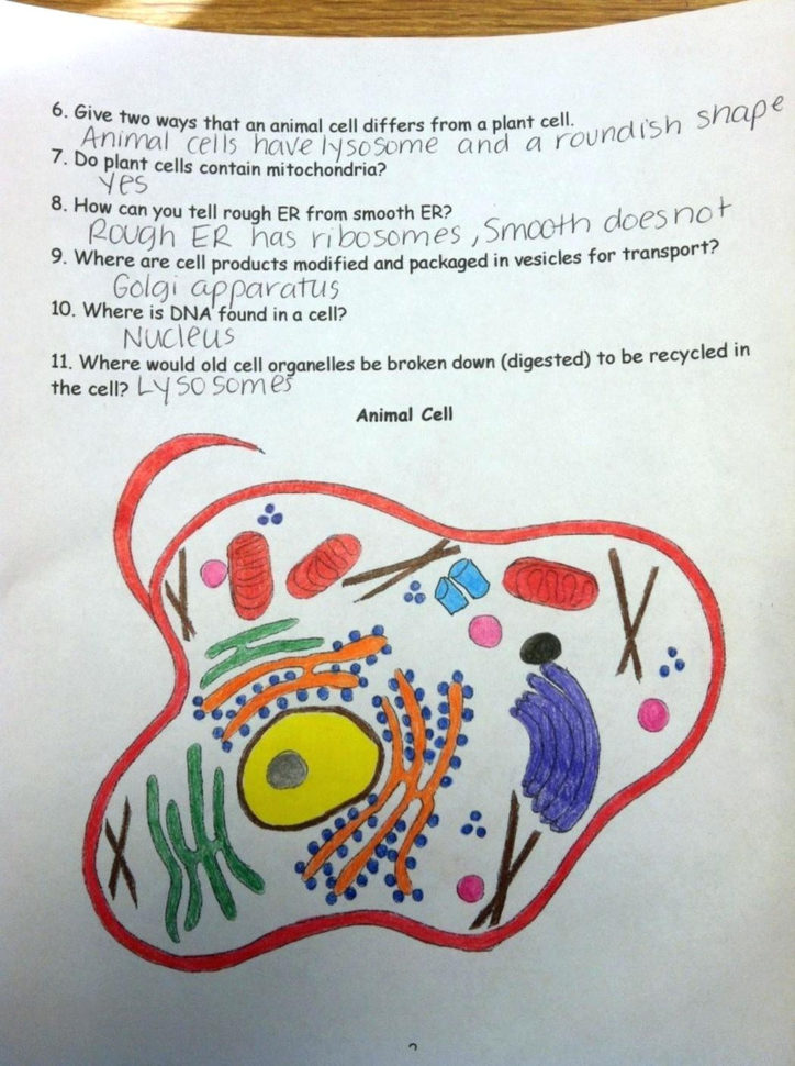 Biology Corner Coloring Pages – Oneupcolorco