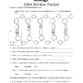Biology Dna Review Packet
