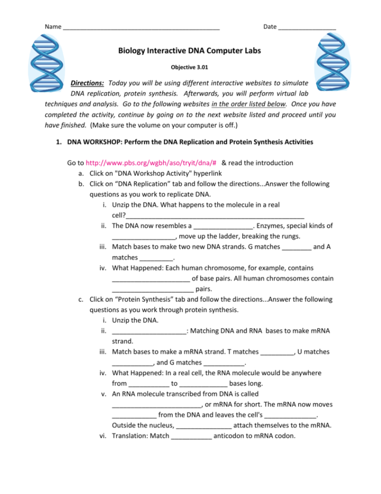 Biology Interactive Dna Computer Labs
