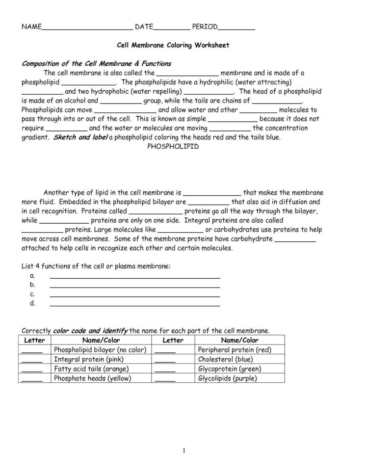 Biology Junction Cell Membrane Coloring Worksheet Answers