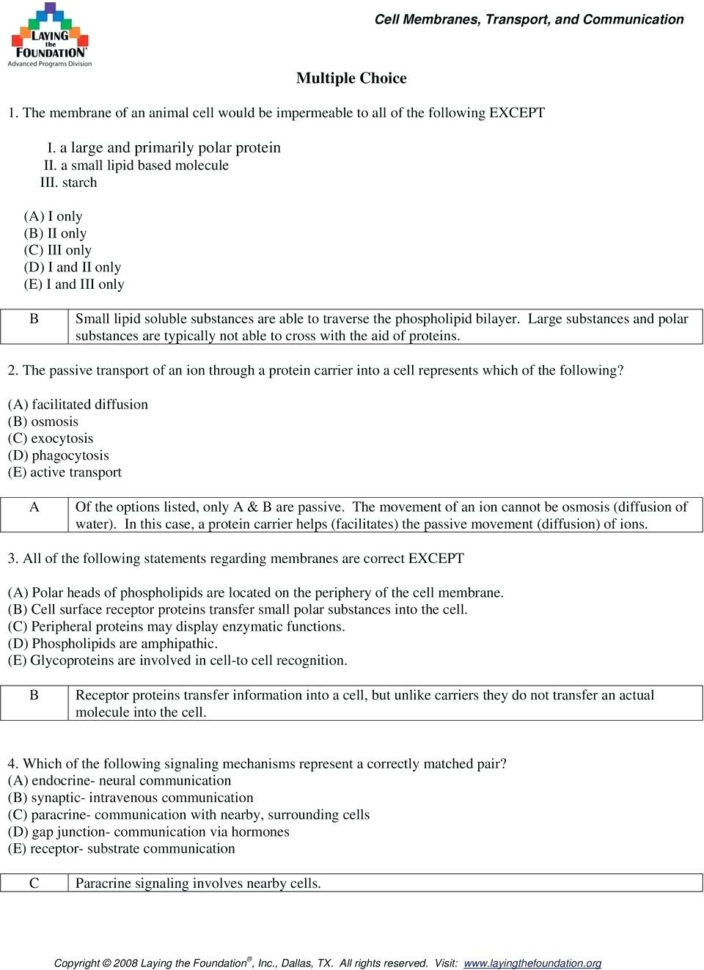 Biology Junction Cell Membrane Coloring Worksheet Answers