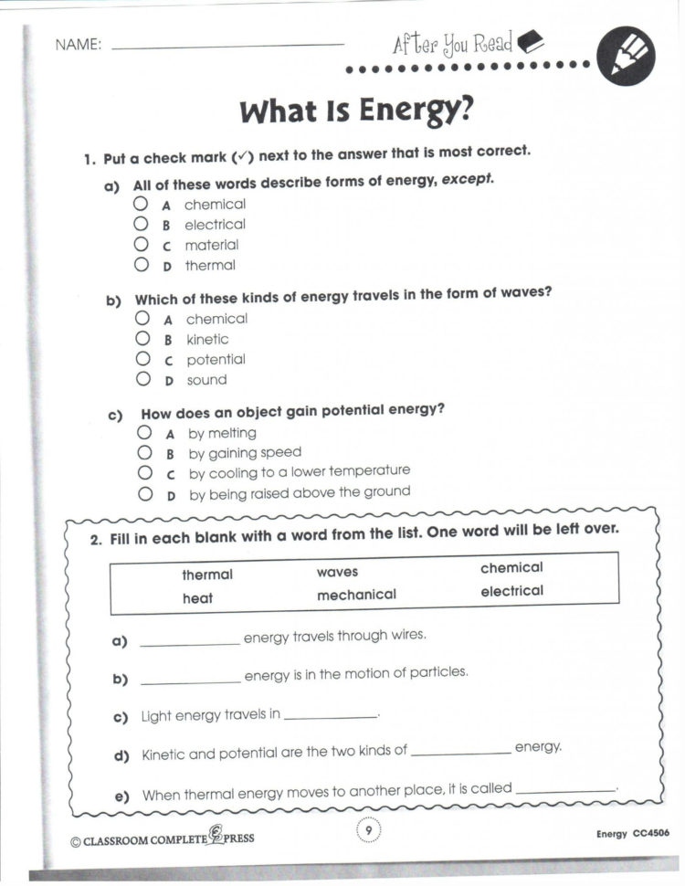 Biology Karyotype Worksheet Answers