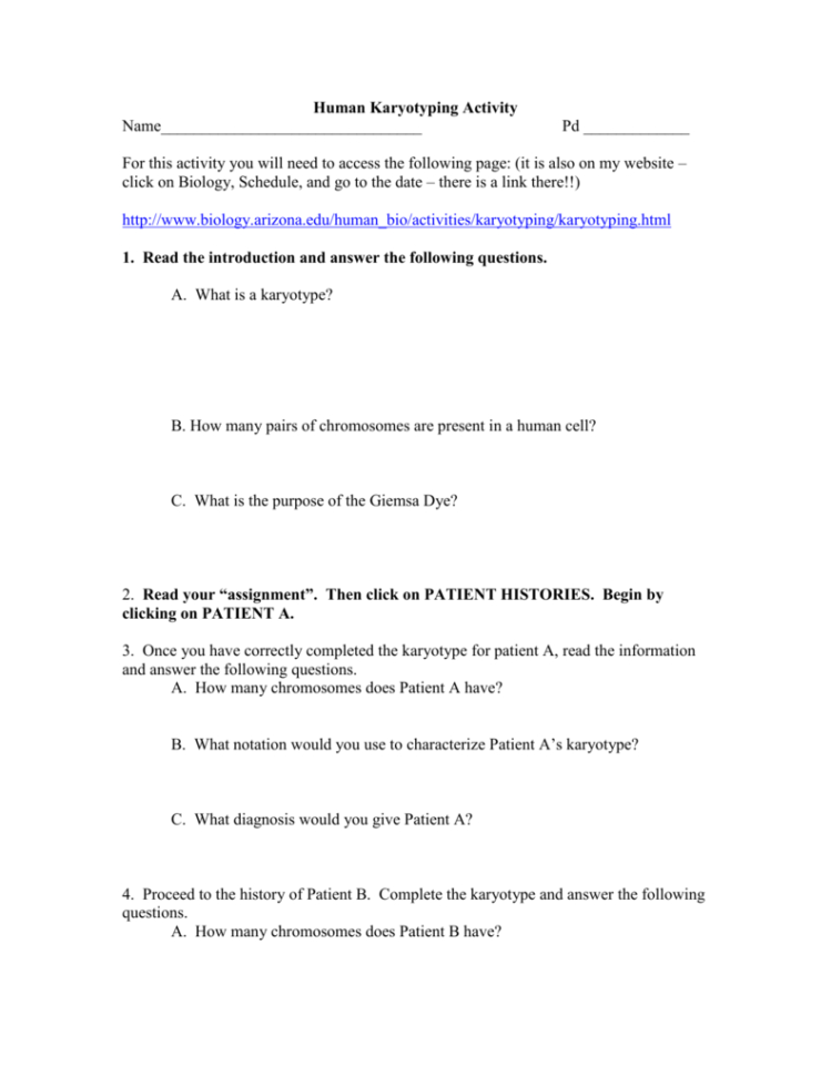 Biology Karyotype Worksheet Answers Key