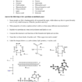 Biology Macromolecule Review Worksheet