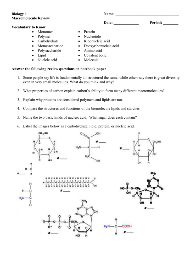 Biology Macromolecule Review Worksheet