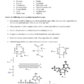 Biology Macromolecule Review Worksheet
