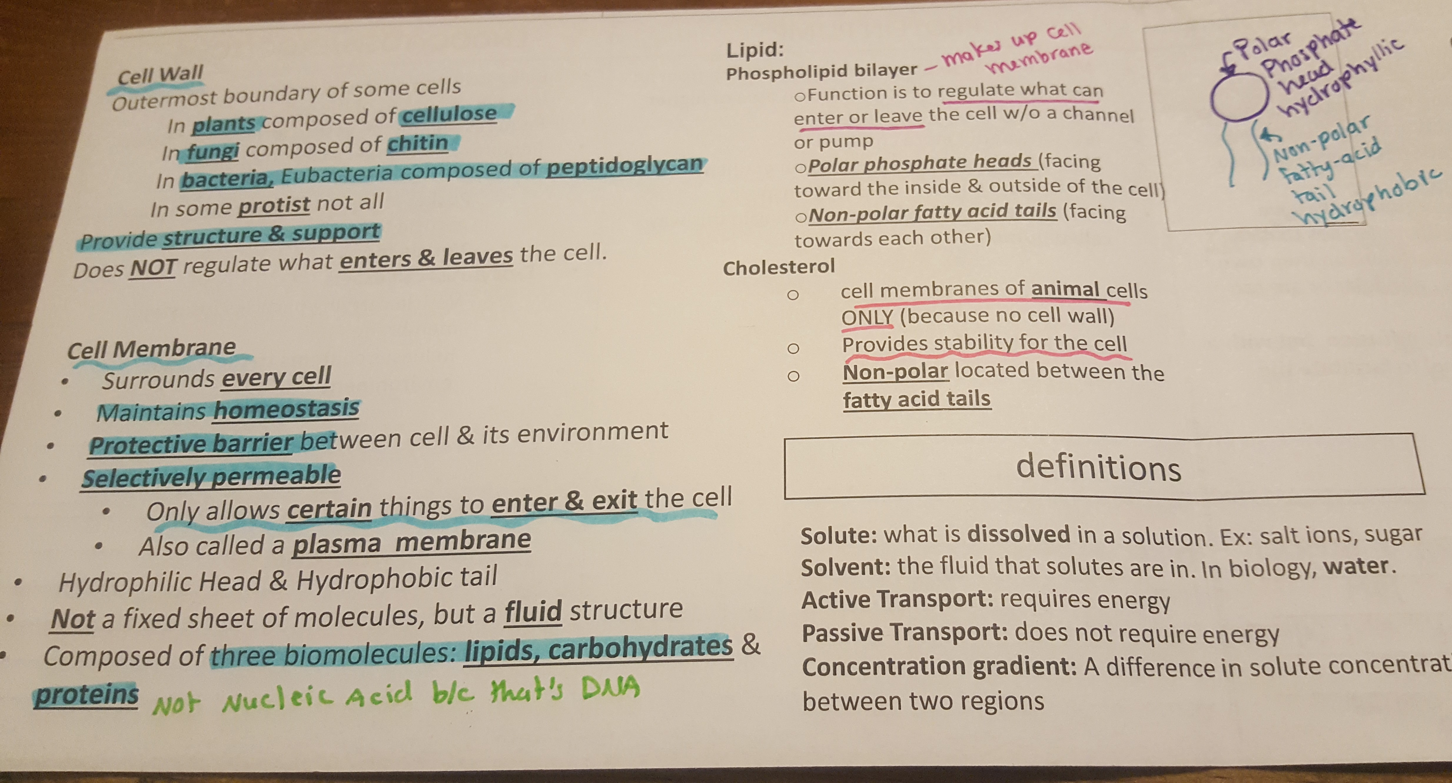 Biology  Notes  Helpful Documents